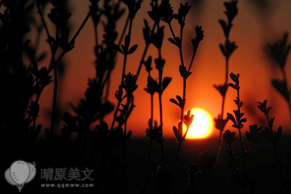 女人請你幫三種忙就是在表白
